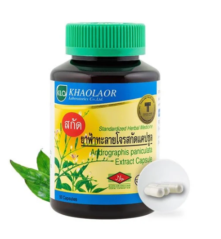 Khaolaor Andrographis Paniculata Extract Capsule