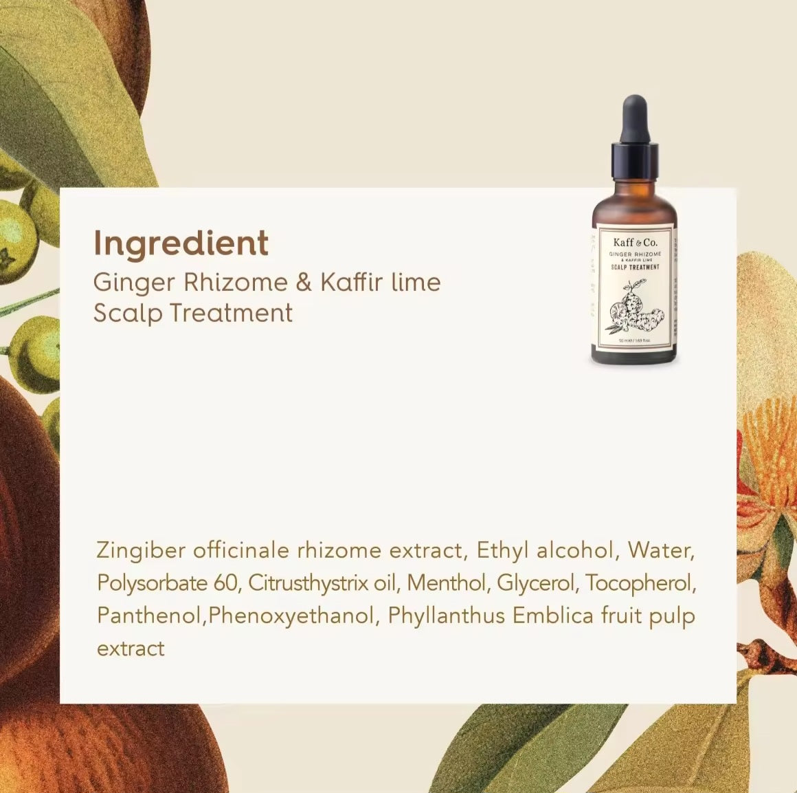 Kaff & Co Ginger Rhizome & Kaffir Lime Scalp Treatment
