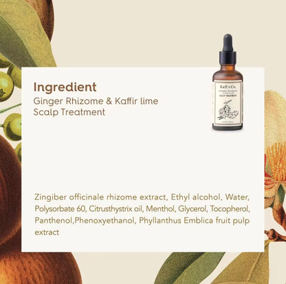 Kaff & Co Ginger Rhizome & Kaffir Lime Scalp Treatment
