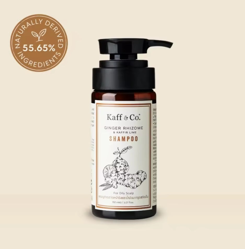 Kaff & Co Ginger Rhizome & Kaffir Lime Shampoo - for oily scalp