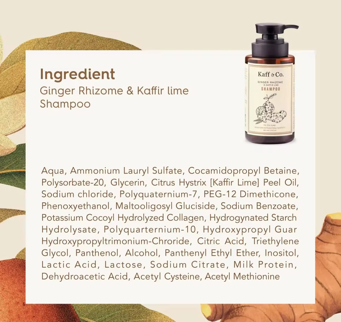 Kaff & Co Ginger Rhizome & Kaffir Lime Shampoo - for oily scalp