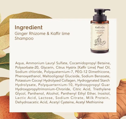 Kaff & Co Ginger Rhizome & Kaffir Lime Shampoo - for oily scalp