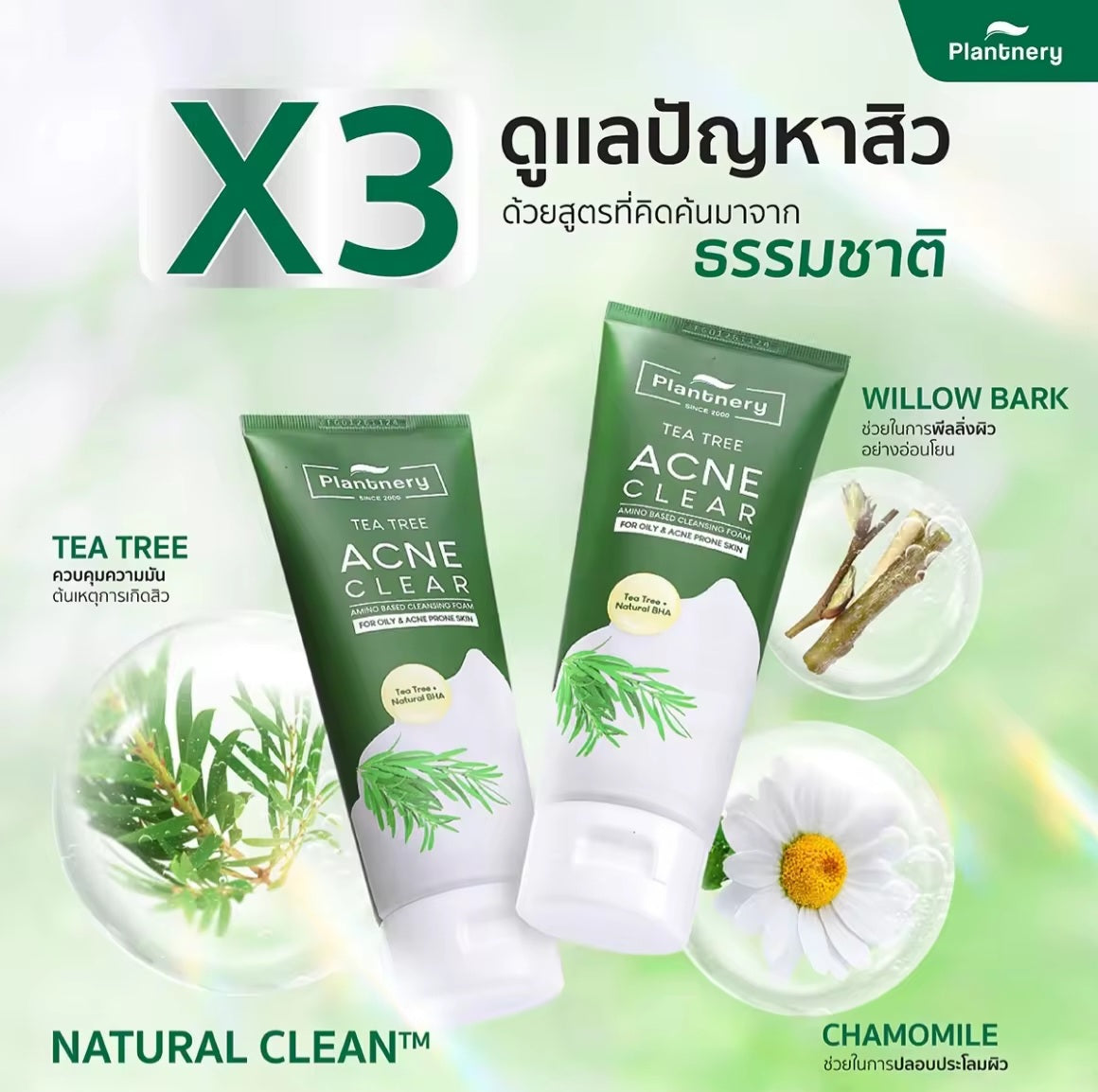 Plantnery Tea Tree  Cleansing Foam - anti Acne